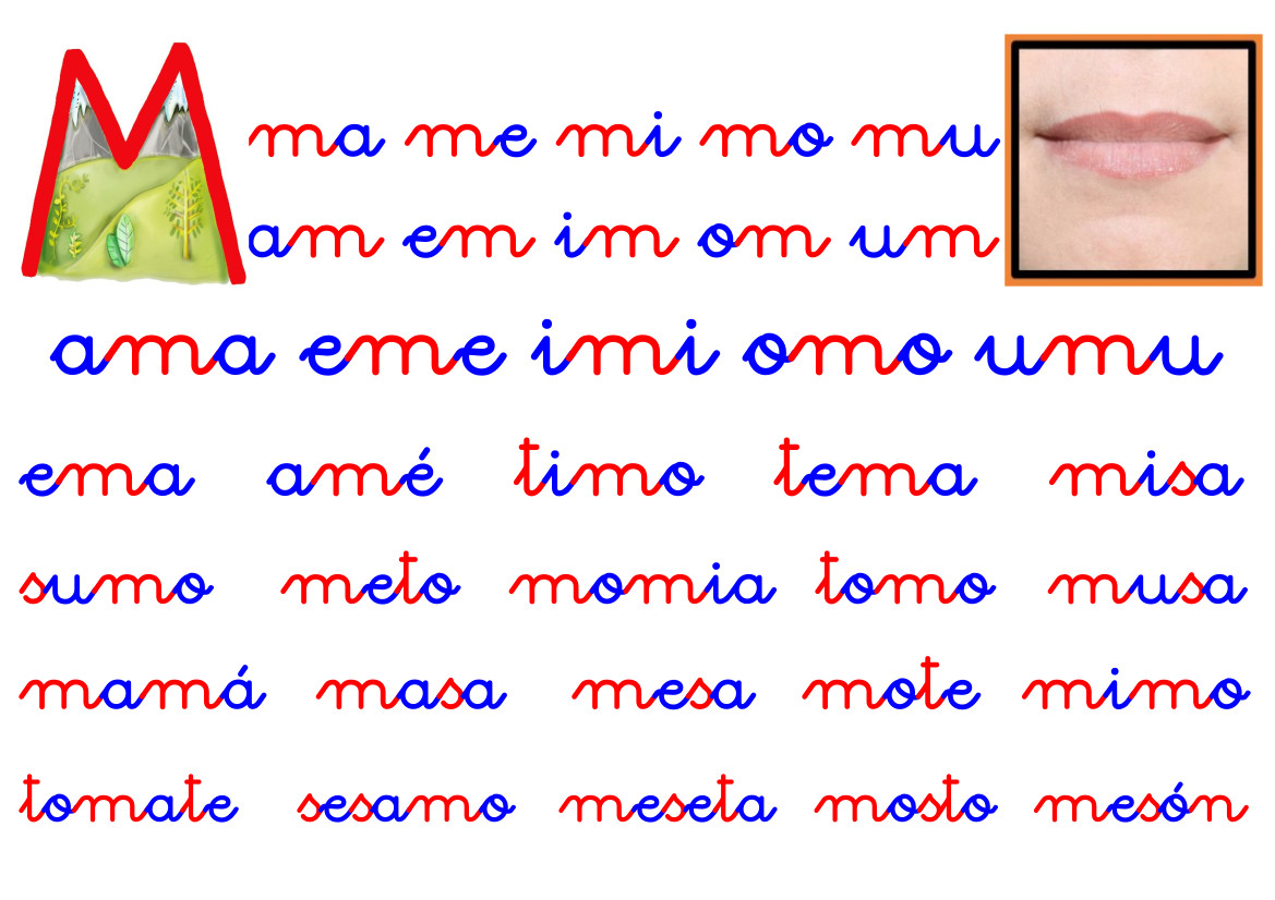 Más allá de las palabras: La importancia de la mecánica y velocidad lectora